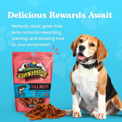 Classic Salmon Minis, Soft Jerky Training Treats for Dogs, Grain-Free, All-Natural & Perfectly Sized for Training, High-Value Rewards in a Convenient 3.5 Ounce Pouch