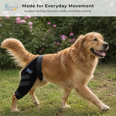 Dog Knee Brace for Hind Leg Support - Right Leg, CCL ACL Brace for Dogs, Vet Approved, Adjustable Orthopedic Support for Arthritis, Ligament Injuries & Post-TPLO Surgery Recovery (X Small)