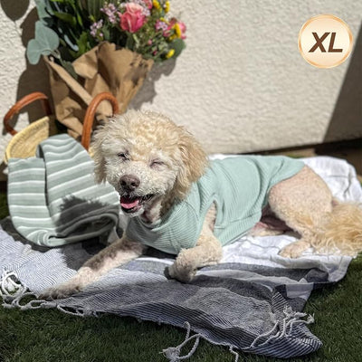 KYEESE 2Pack Waffle Dog Shirts, Lightweight Sleeveless Dog T Shirts for Small Medium Dogs Boy Girl, Breathable Pet Vest Comfortable Tank Top Soft Dogs Clothes for Daily Wear, Green+Striped, XL