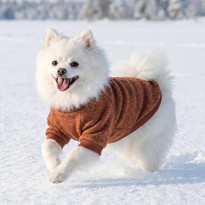 3 Pack Dog Sweaters for Small Dogs Girl Boy Winter Fleece Clothes Warm Soft Dog Sweatshirt Outfit for Dogs Cats Pet Apparel