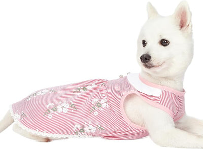 Blueberry Pet Wonderland Floral Sleeveless Dog Dress in Pink Stripe with Peter Pan Collar, Back Length 14", Pack of 1 Clothes for Dogs