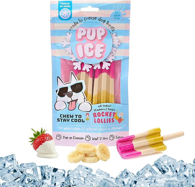 Pup Ice- Ready to Freeze at Home Dog Treats-Edible Chews for Medium Breed Dogs & Puppies with Real Chicken to Keep Your Pup Cool Year Round, Rocket Lollies Strawberry and Banana Flavor, 2pcs