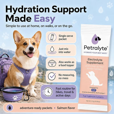 Dog Electrolytes and Joint Supplement | Hydration Support for Dogs w/Glucosamine, Chondroitin & More | Electrolytes for Dogs with Prebiotics | Salmon Lovers | 32 Packets