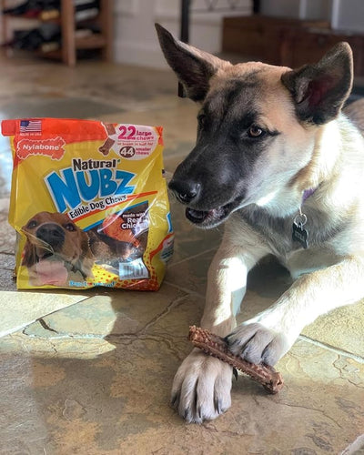 Nylabone Nubz Natural Dog Treats, Long Lasting Chew Bones, Made in the USA, Chicken Flavor Breath Freshener, Large Bones For Dogs Over 30 lbs. (18 Count)
