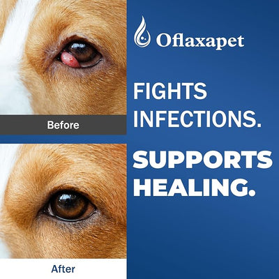 Dog Eye Drops | Dog Eye Infection Treatment | Flush Irritants & Reduce Redness, Watering & Discharge | Sterile Solution with Easy | Apply Dropper for Daily Use | 0.68 fl oz (20 mL)