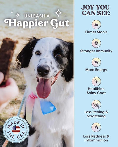 Bundle x Joy Leash & Load Beef Jerky for Dogs - 2 LB Bag, Natural Superfood - Corn, Poultry, Soy & Grain Free Beef Dog Treats Made in USA Only