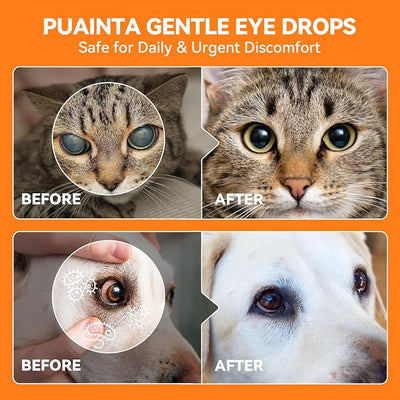 PUAINTA Dog Eye Drops, Eye Infection Treatment, Eye Drops for Dogs & Cats, Soothe Irritation Pink, Dry Eyes, Itchy Eye Wash Tear Stains, Debris Cleaner, Natural Daily Eye Care, Safe for Pets (8oz)