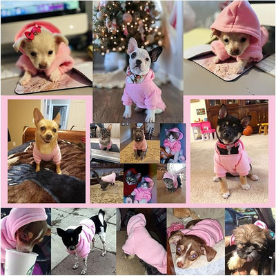 Jecikelon Soft Dog Hoodies for Small Dogs, Fleece Puppy Sweatshirt with Pockets, Warm Winter Cold Weather Coats for Pet Cat, Cute Clothes Puppy Costume (Purple, X-Large)
