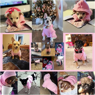 Jecikelon Soft Dog Hoodies for Small Dogs, Fleece Puppy Sweatshirt with Pockets, Warm Winter Cold Weather Coats for Pet Cat, Cute Clothes Puppy Costume (Pink, X-Large)
