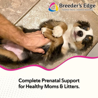 Breeder's Edge Oxy Mate Dog Prenatal Vitamins, Comprehensive Supplement for Pregnant Dogs and Cats Enriched with Essential Nutrients for Healthy Moms & Litters, Soft Chews - 120ct Medium & Large Dog