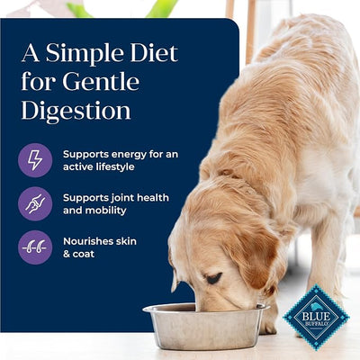 Blue Buffalo Basics Senior Dry Dog Food, Skin & Stomach Care, Limited Ingredient Diet, Turkey Recipe, 4-lb Bag