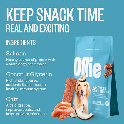 Ollie Jerky Dog Treats Variety Pack, Beef and Sweet Potato & Salmon and Coconut Bundle, All Natural, Healthy, Made with Real Meat 5 Oz. Pack of 2