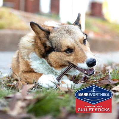 Barkworthies Beef Gullet Sticks - 2 pk of 12 - Natural, Chewy, Grain Free Dog Treats - Long Lasting Dog Chew - Dental Chews for Healthy Teeth & Bones