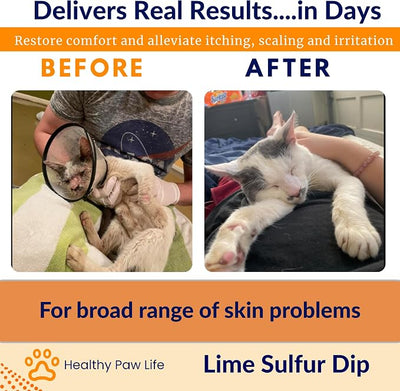 Classic's Lime Sulfur Dip - Pet Care for Itchy and Dry Skin - Xtra Strength Formula - Safe Solution for Dog, Cat, Puppy, Kitten, Horse (16 fl oz)