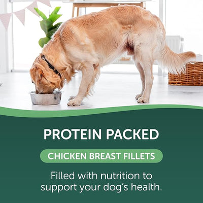 HEALTHFULS Healthfuls Digestive - Chicken & Pumpkin Recipe