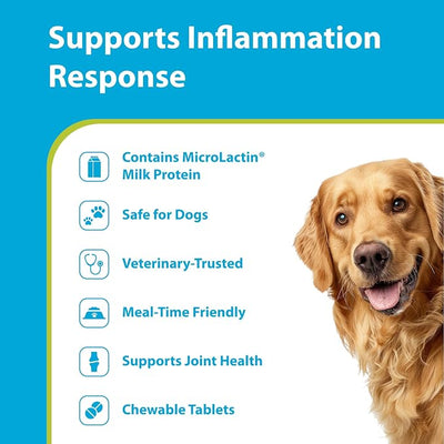 PRN Pharmacal Duralactin Canine Soft Chews - Joint Health Supplement for Dogs & Puppies - Supplement with Dried Milk Protein - 60 Count
