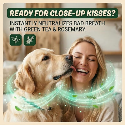 Dog Teeth Cleaning Powder - 8-in-1 Enzymatic Dog Dental Powder with 10B Probiotics & Brown Algae, No Brushing Breath Freshener, Targets Plaque & Tartar, 3.5oz