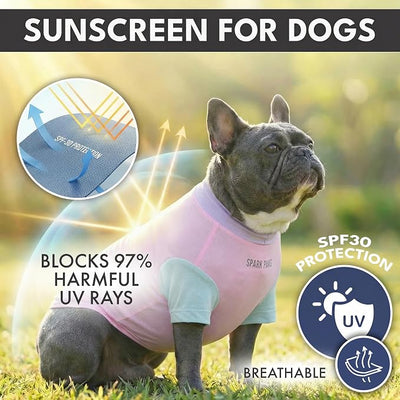 Spark Paws Sunblock Dog T-Shirt, SPF30 Protection, Lightweight Breathable Quick Dry for Dogs with Sensitive Skin - Gelato & Yuzu (Set of 2) - Size 2XL