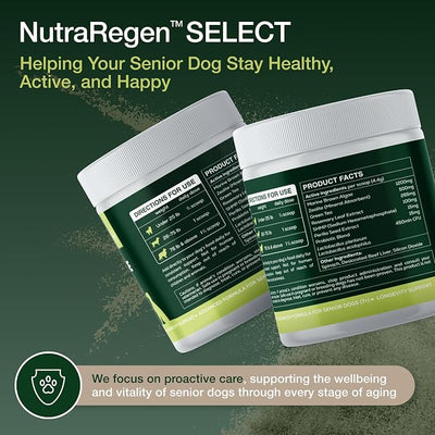 Nutraregen Dog Dental Powder 30 Scoops | Beef Flavored Dog Breath Freshener with Probiotic Blend for Oral & Gum Health | Pet Dental Powder Helps Manage Plaque & Tartar Buildup | 4.6 Oz
