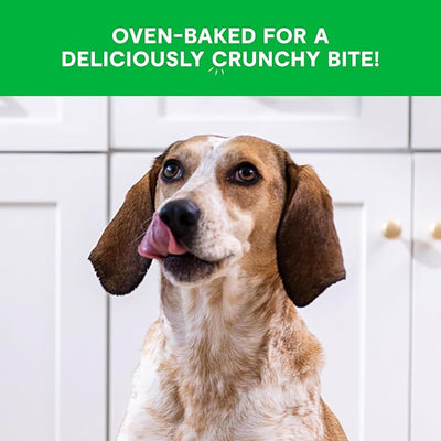 Open Farm Better Biscuits, Oven Baked Dog Treats with Probiotics, Chicken & Oatmeal Recipe, 8oz Pouch