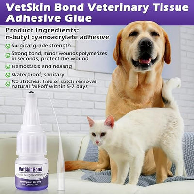 2 Pack 3ml Veterinary Surgical Skin Glue with 10 Applicators, Strong Surgical Adhesive, Blue-Tinted Fast-Acting Tissue Wound Glue, Up to 30 Applications, Ideal for Multi-Pet Households