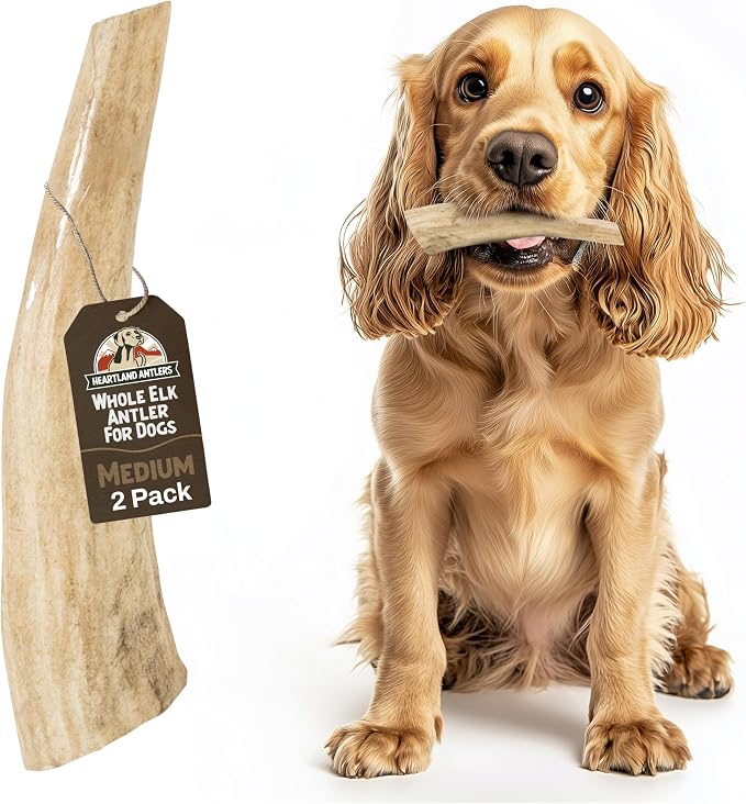 Heartland Elk Antlers for Dogs - Daily Dental Care Chews for Aggressive Chewers to Reduce Plaque & Prevent Destructive Behavior (Splinter Free, Whole, 5", Medium, 2-Pack, Grade A, USA Made)