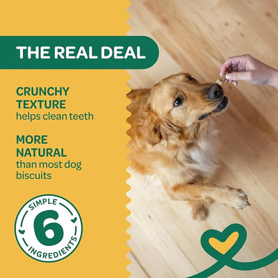 Wholesome Pride Nature's Biscuits Pumpkin Dog Treats, Crunchy All-Natural Bone-Shaped Snacks, Limited Ingredient, Dogs & Puppies, 16 oz