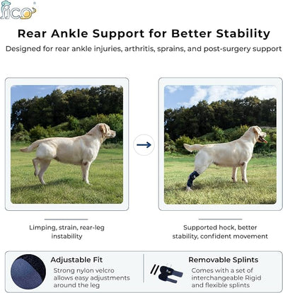 Dog Hock Brace for Ankle Support & Arthritis, Vet Approved Dog Back Leg Brace, Adjustable with Removable Splints, Orthopedic Support for Injuries, Sprains & Post-Surgery Recovery (Medium)