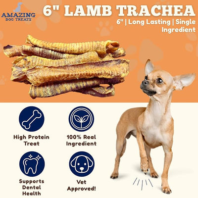 Amazing Dog Treats - Lamb Trachea (100 Count - 40 oz) - Trachea Dog Chews - Natural Source of Glucosamine & Chondroitin for Dogs - Lamb Dog Treats