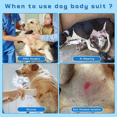 2 Packs Breathable Cotton Dog Recovery Suit for After Neuter Spay Abdominal Wounds Protector, Professional Anti-Licking Onesies for Male Female Pets Surgery Bandages, XL Grey Blue Pure