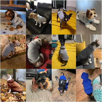 Jecikelon Soft Dog Hoodies for Small Dogs, Fleece Puppy Sweatshirt with Pockets, Warm Winter Cold Weather Coats for Pet Cat, Cute Clothes Puppy Costume (Grey, X-Large)