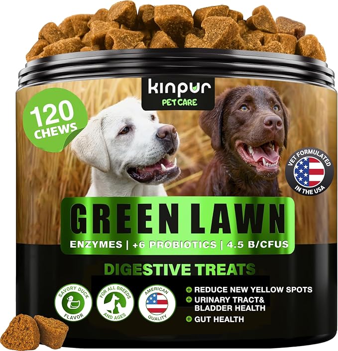 Green Lawn Chews for Dogs - Natural Dog Urine Neutralizer for Lawn with Cranberry, Probiotics, ACV & Digestive Enzymes - 120 Chews for Healthy Bladder, Urinary Tract - Grass Burn, Yellow Spots Treats