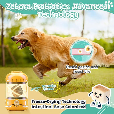 ZEBORA Probiotics for Dogs & Cats, Dog Probiotics for Digestive Health, 6 Billion CFUs Digestive Enzymes with Prebiotics, Omegas & Vitamins for Gut & Itchy - 120 Chews