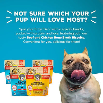 Brutus Bone Broth Biscuits Bundle Pack - Chicken and Beef Healthy Dog Treats, Pack of 4 (8oz) - All Natural, Tasty & Nutritious
