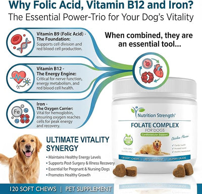 Folate for Dogs to Promote Cardiovascular & Prenatal Health, Support DNA Synthesis & Cell Maintenance, Folic Acid for Dogs with Zinc, Biotin, Iron & Vitamin B12, 120 Soft Chews