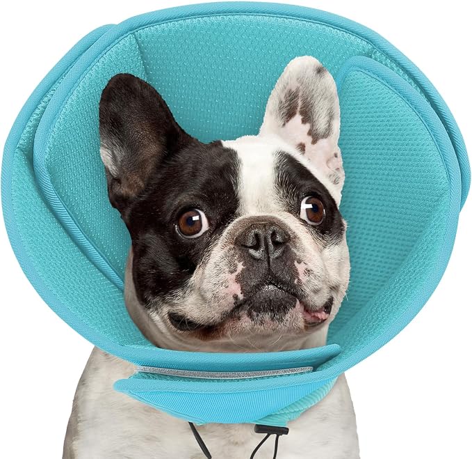 Soft Dog Cone Collar,Comfortable Cones for Small Dogs/Cat to Stop Licking After Surgery, Comfy Elizabethan Collars, Neuter Recovery Ecollars of Shame Alternatives,LightBlue,M