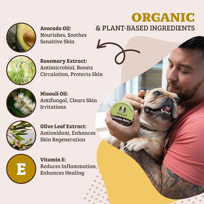 Natural Dog Company Wrinkle Balm for Dog Wrinkles (2oz Tin) All-Natural, Lick-Safe Dog Lotion for Dry Itchy Skin, French Bulldog Skin Care, Moisturizes & Cleans Wrinkle Folds, Plant-Based, Made in USA