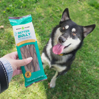 | Better Bully Vegan Dog Chews 2ct Large | Long Lasting Chew | Hypoallergenic Allergy- Friendly Plant-Based | Made in USA