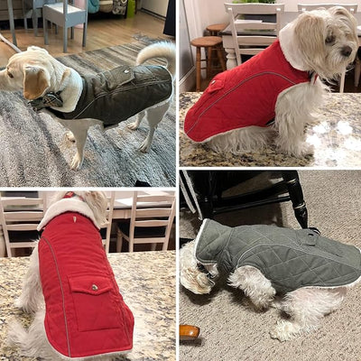Malier Dog Winter Coat, Windproof Dog Cold Weather Coats with Real Pocket, Winter Extra Warm Pet Coat Fleece Jacket Reflective Clothes for Small Medium Large Dogs and Puppy (Green, X-Small)