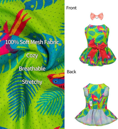 CuteBone Dog Mesh Dress Puppy Sundress Pet Outfit Summer Fashion for Small Dogs Girl Cat Clothes