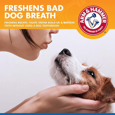 Arm & Hammer Tartar Control Dental Spray for Dogs Mint Flavor Breath Freshener Brushless Teeth Cleaning Oral Care with Baking Soda Helps Reduce Plaque and Tartar Buildup 4 FL OZ Single Bottle Supply