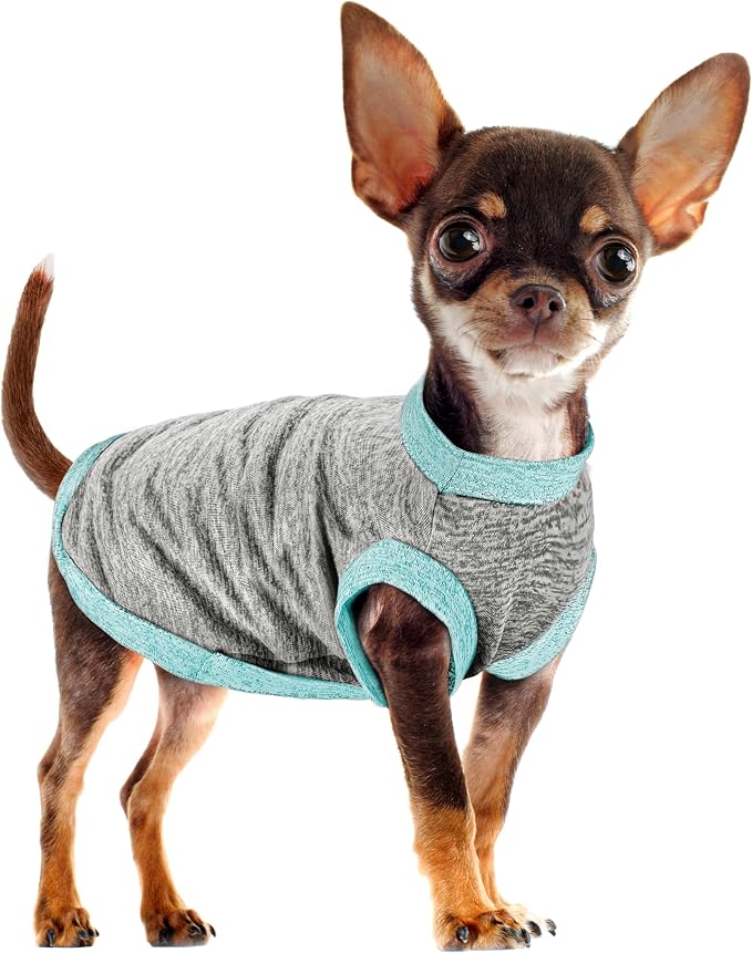 Chic Ion Polyester Dog Vest: Adorable Fashion Apparel for Small, Medium, and Large Breeds, Moisture-Wicking, Soft, Anti-Static, Durable, and Easy-to-Clean Design - Grey 4XL