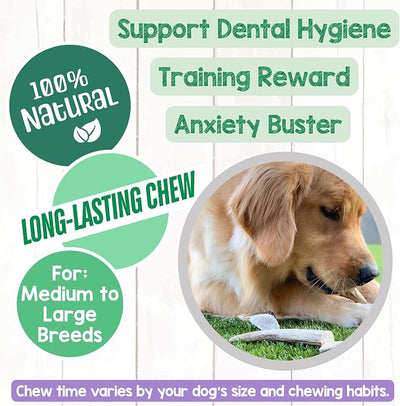 Nature Gnaws Antlers for Dogs (1Lb) - Mix of Elk and Deer Antler - Variety of Split and Whole Pieces - Long Lasting for Aggressive Chewers and Large Dogs (Packing May Vary)