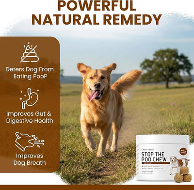 No Poo Chews for Dogs, 240 Soft Chews, Lamb Flavor Chew No Poo Bites -Dog Coprophagia Treatment, Deterrent to Stop Eating Poop -Treats Bad Breath and Boosts Gut Health -Made in USA (2 Packs of 120)