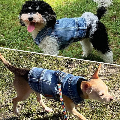 Dog Jean Jacket, Blue Denim Shirt Classic Lapel Vest Coat Costume Puppy T-Shirt, Comfort Tank Top Cool Apparel, Washed Pet Clothes for Dogs Boy Girl (with D-Ring, Large)