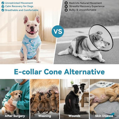 cyeollo Dog Surgery Recovery Suit, Soft Surgical Body Suits for Female Male Dog, Comfy Spay Neuter Onesie for Small Medium Dogs, E-Collar & Cone Alternative, Anti-Licking Wound Pet Clothes, Shark L