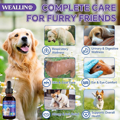 Dog Antibiotics Support - 2PCS Natural Antibiotics Care for Dogs Herbal Supplement for Cough Allergy Itch Relief Immune Support Dog UTI Comfort for All Breeds & Ages - 120 ml/4 Fl Oz Bacon Flavor
