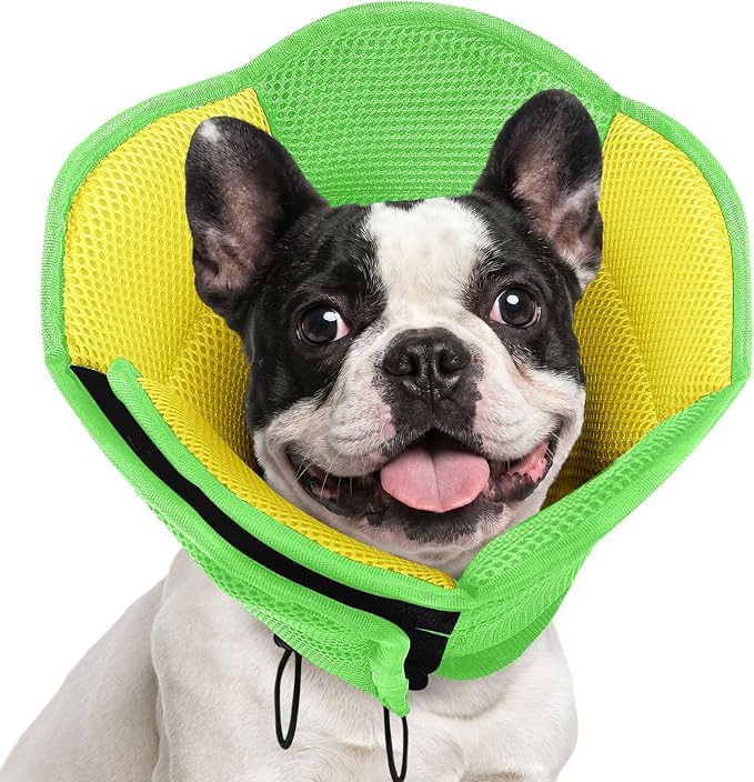 Dog Cone - Soft Cones Dog After Surgery, Comfy Cones for Dogs to Stop Licking, Adjustable Small Dogs Cone Collar for Wound Healing, Elizabethan Pet E-Collar, YellowGreen Small
