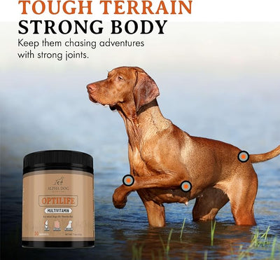 OptiLife Dog Multivitamin Powder - Adult Dog Multivitamin with Probiotics, Allergy Support, Joint Support, Skin & Coat Support - Dog Vitamins and Supplements - Multivitamin for Dogs (60 Servings)
