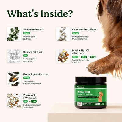 Hip & Joint Supplement for Dogs – Soft Chews for Joint Mobility Support with Glucosamine, Chondroitin, MSM, Green Lipped Mussel & Hyaluronic Acid – Hickory Smoke Flavor